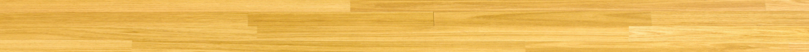 newsletter pictures (1169 x 76 px) newsletter pictures (1169 x 76 px)